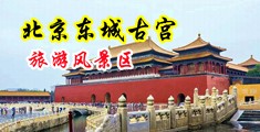 欧美爆cao在线中国北京-东城古宫旅游风景区